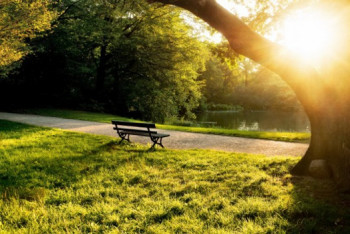 Фотография к новости: Повышение температуры ожидается в Казахстане