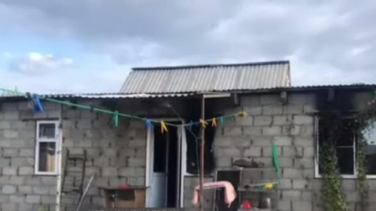 кадр из видео 