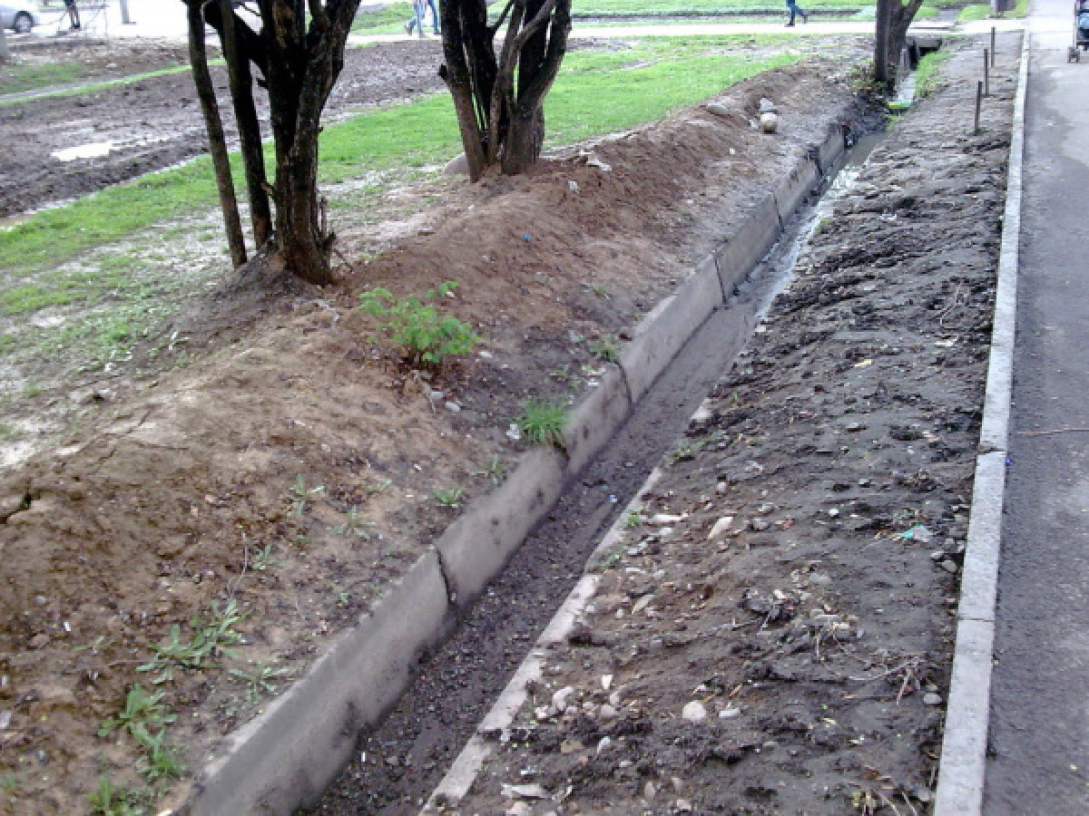 иллюстративное