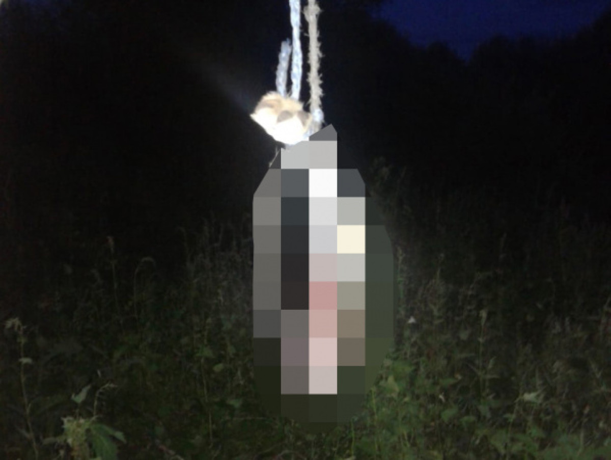 Жители села в СКО съели собаку задолжавшего им денег мужчины