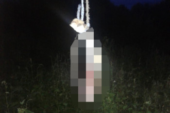 Фотография к новости: Жители села в СКО съели собаку задолжавшего им денег мужчины