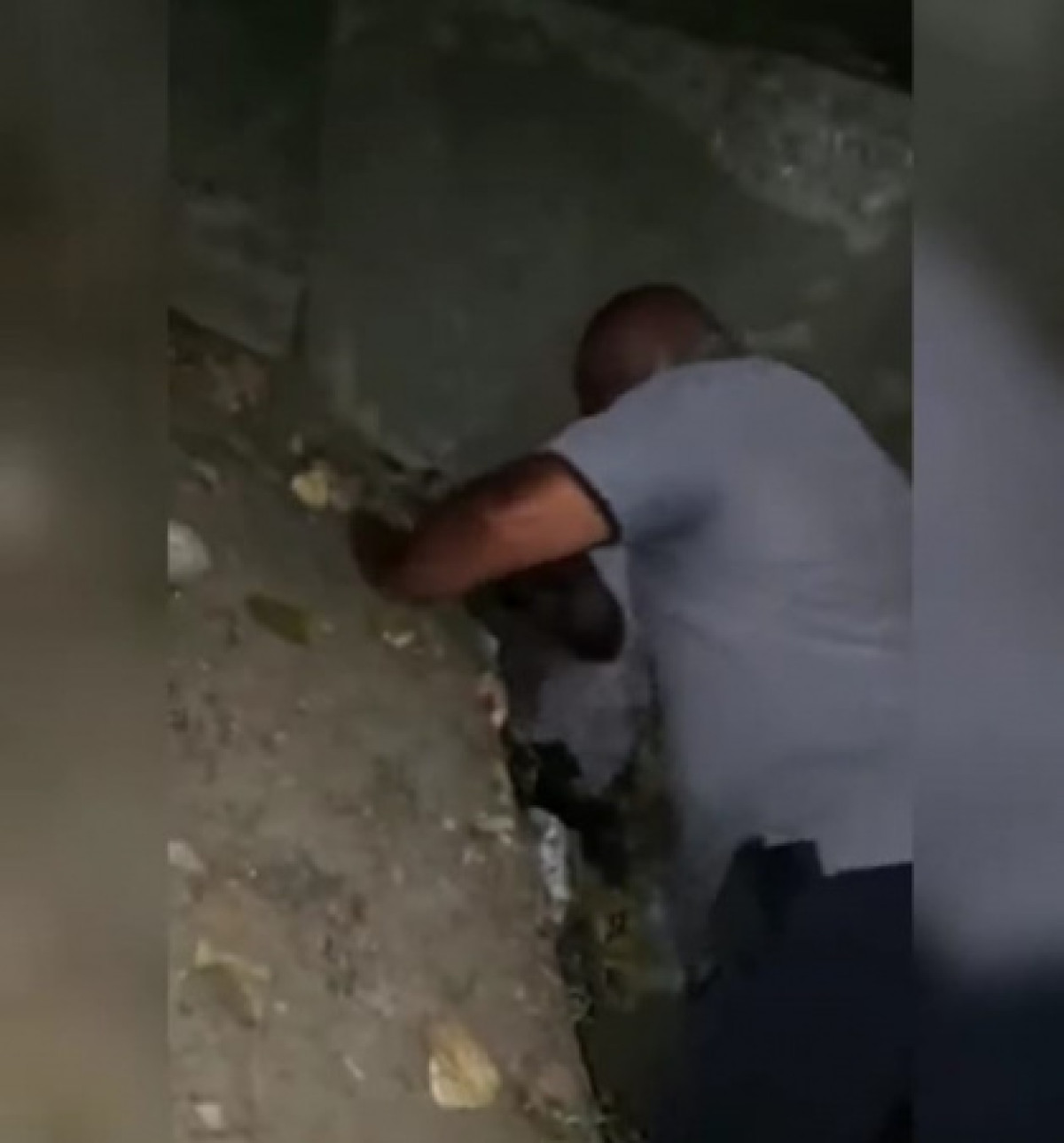 кадр из видео