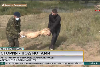 Фотография к новости: Кость мамонта нашел сельчанин в Акмолинской области