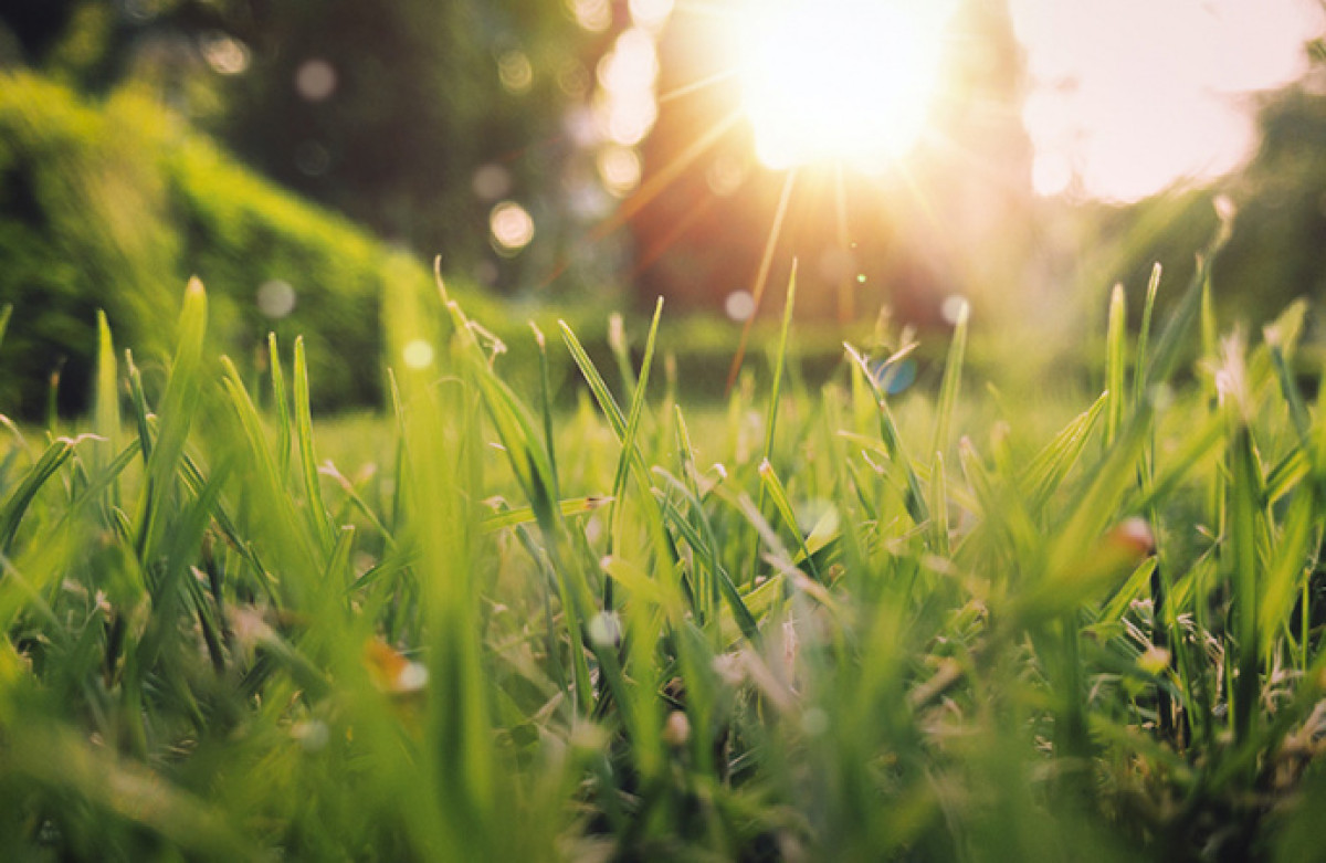 иллюстративное