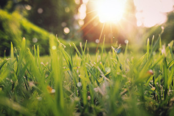 Фотография к новости: Какая погода ожидает казахстанцев 28 августа