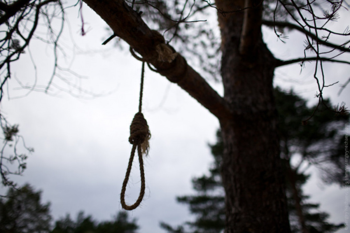 иллюстративное