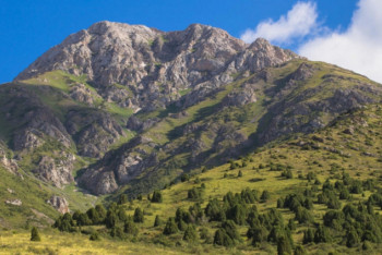 Фотография к новости: Снежный барс попал в фотоловушку старейшего казахстанского заповедника