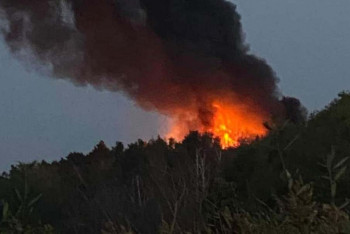 Фотография к новости: Крупный пожар тушили на территории резиденции Президента в СКО