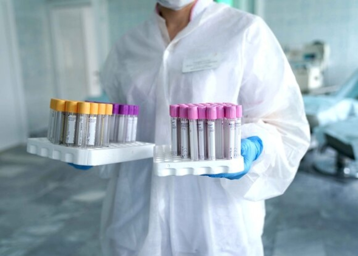 иллюстративное