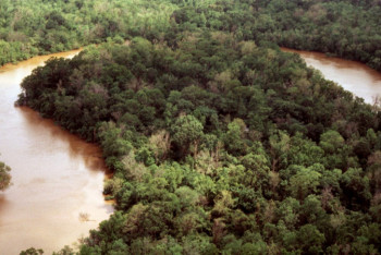 Фотография к новости: Мощный ураган развернул течение реки в обратную сторону в Техасе