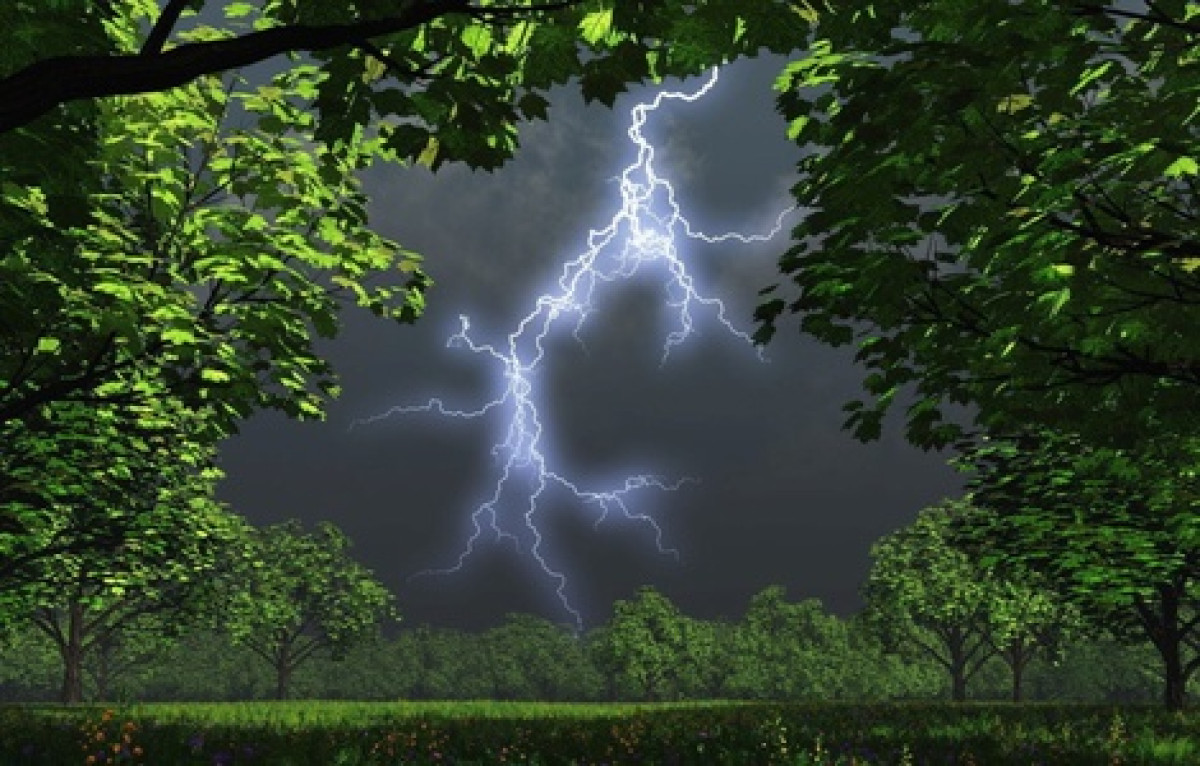 Север-пресс