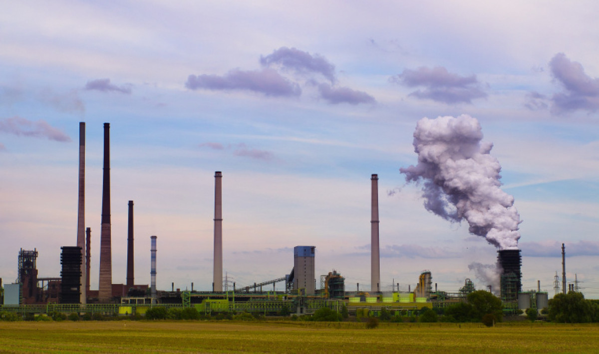 иллюстративное: Nico Franz/Pixabay 