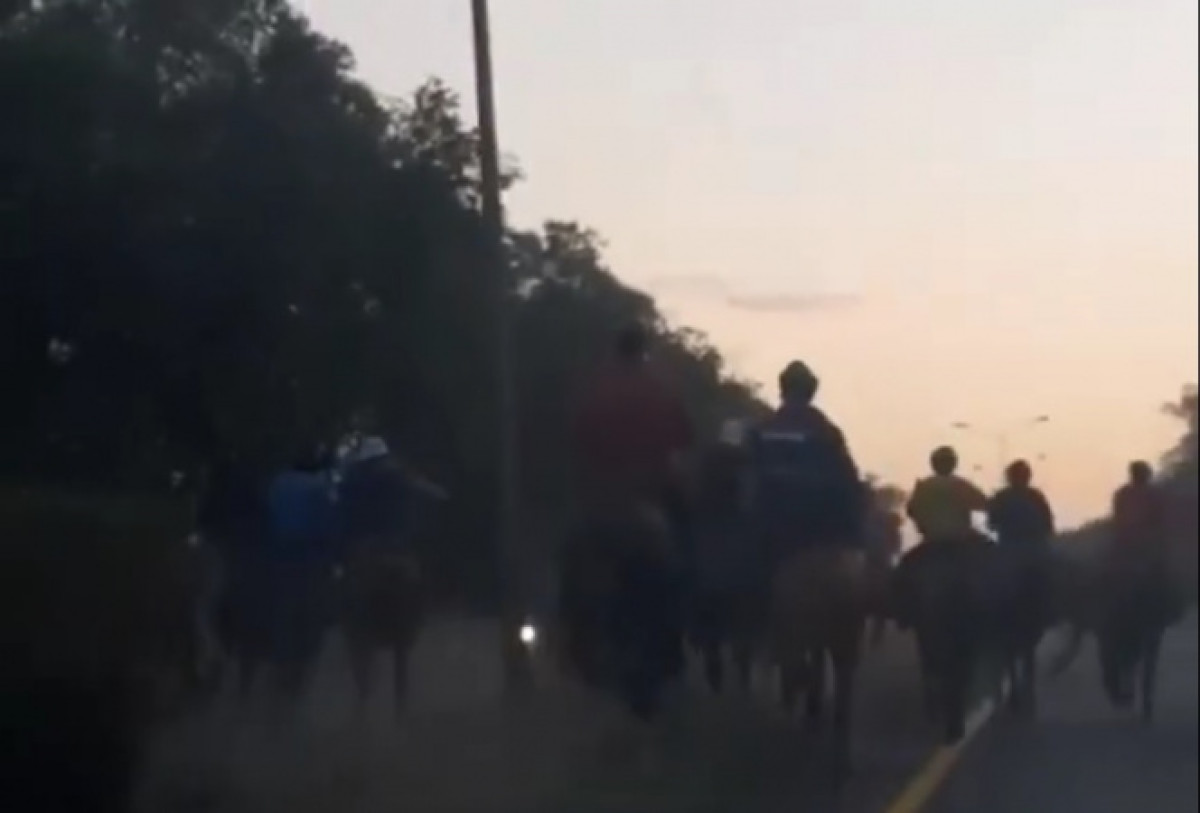 скриншот с видео