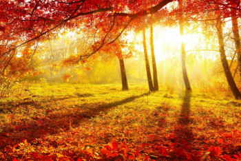 Фотография к новости: Какой будет погода в сентябре в Казахстане