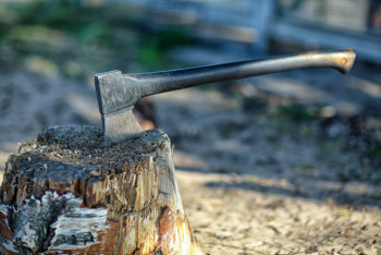 Фотография к новости: Пьяный россиянин отрубил пальцы своей 5-летней племяннице