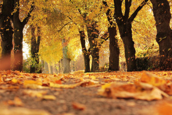 Фотография к новости: О резком похолодании синоптики предупредили казахстанцев