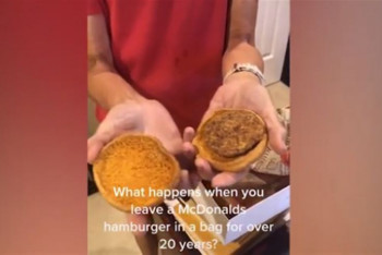 Фотография к новости: Бургер хранился в коробке 24 года и не сгнил