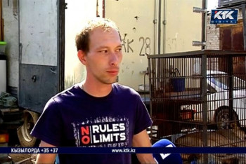 Фотография к новости: Артисты российского цирка назвали абсурдом обвинения казахстанских зоозащитников