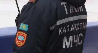 Четыре комитета войдут в состав нового МЧС РК