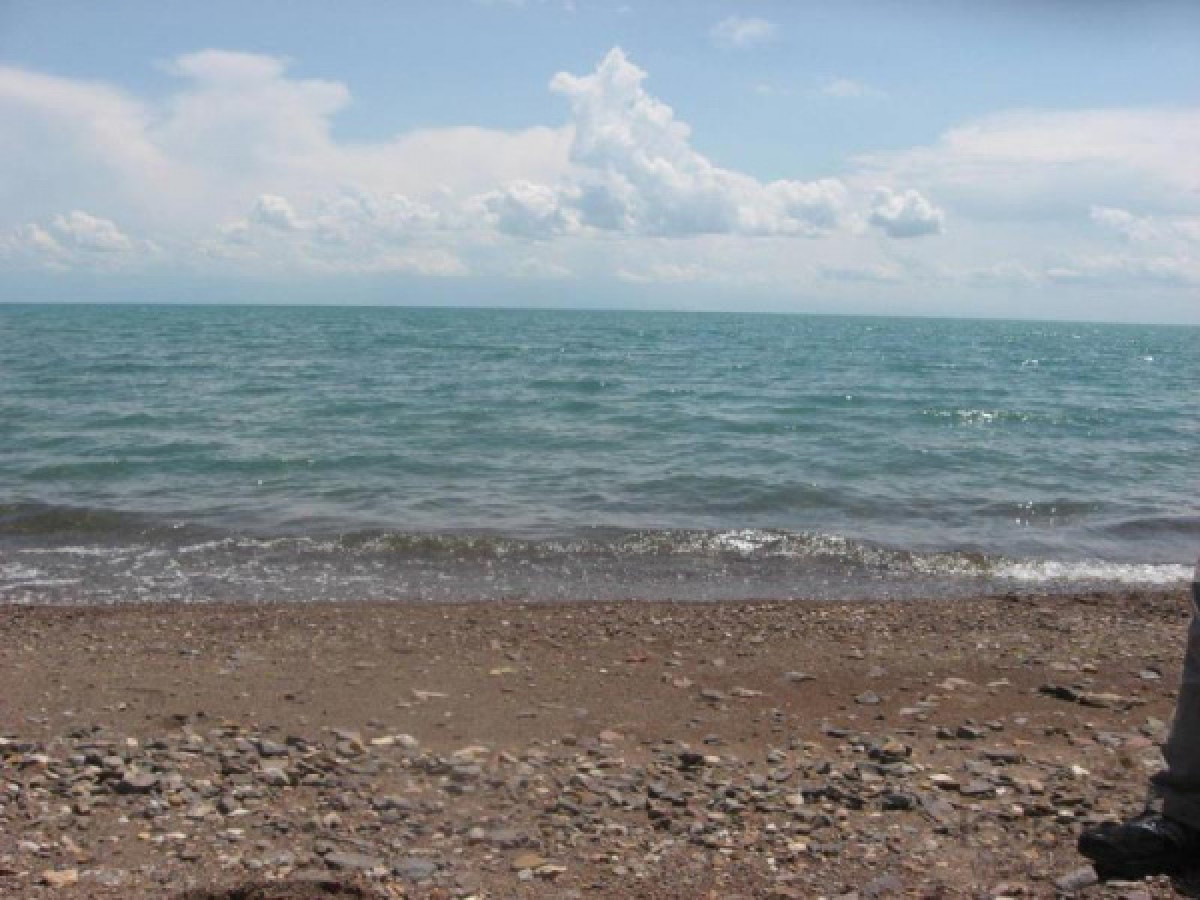 e-auction.gosreestr.kz