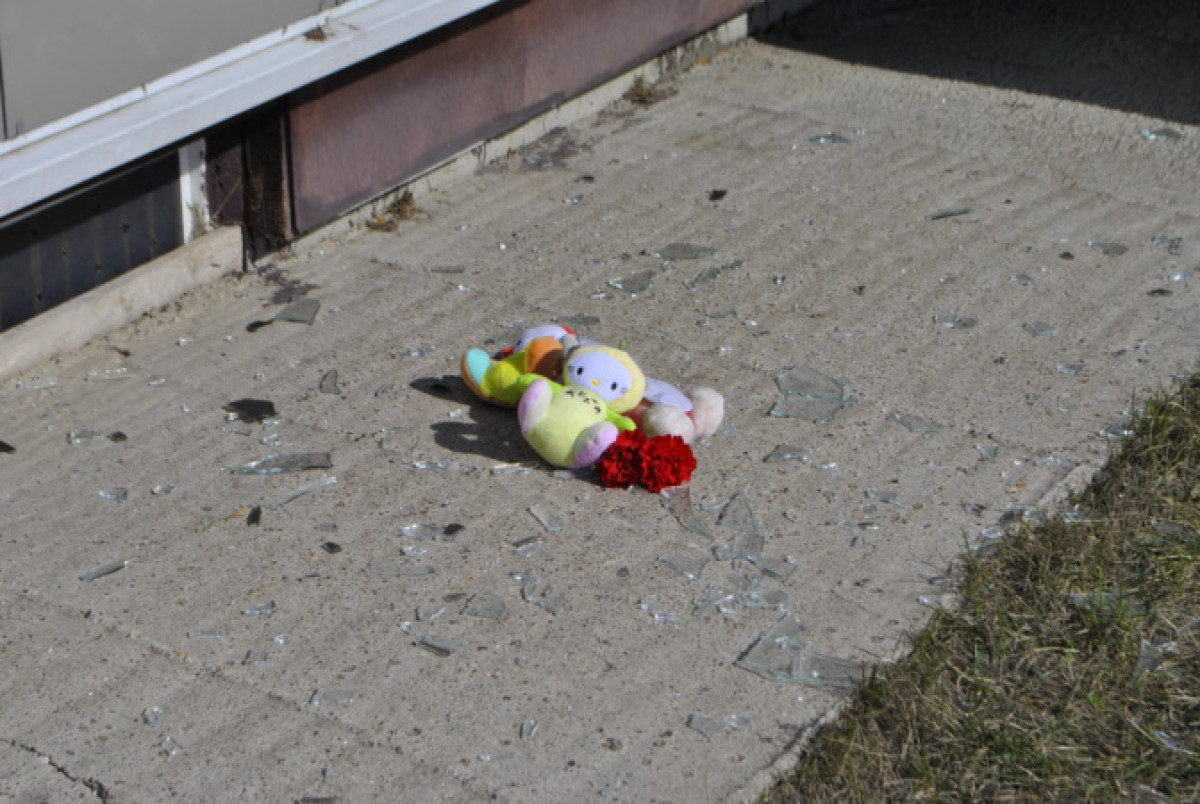 иллюстративное