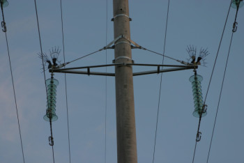 Фотография к новости: Как жителям окраин Алматы платить меньше за электричество, рассказали чиновники