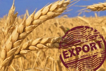 Фотография к новости: Лаборатории для экспорта сельхозпродукции в Китай откроют на "Хоргосе" и в ВКО