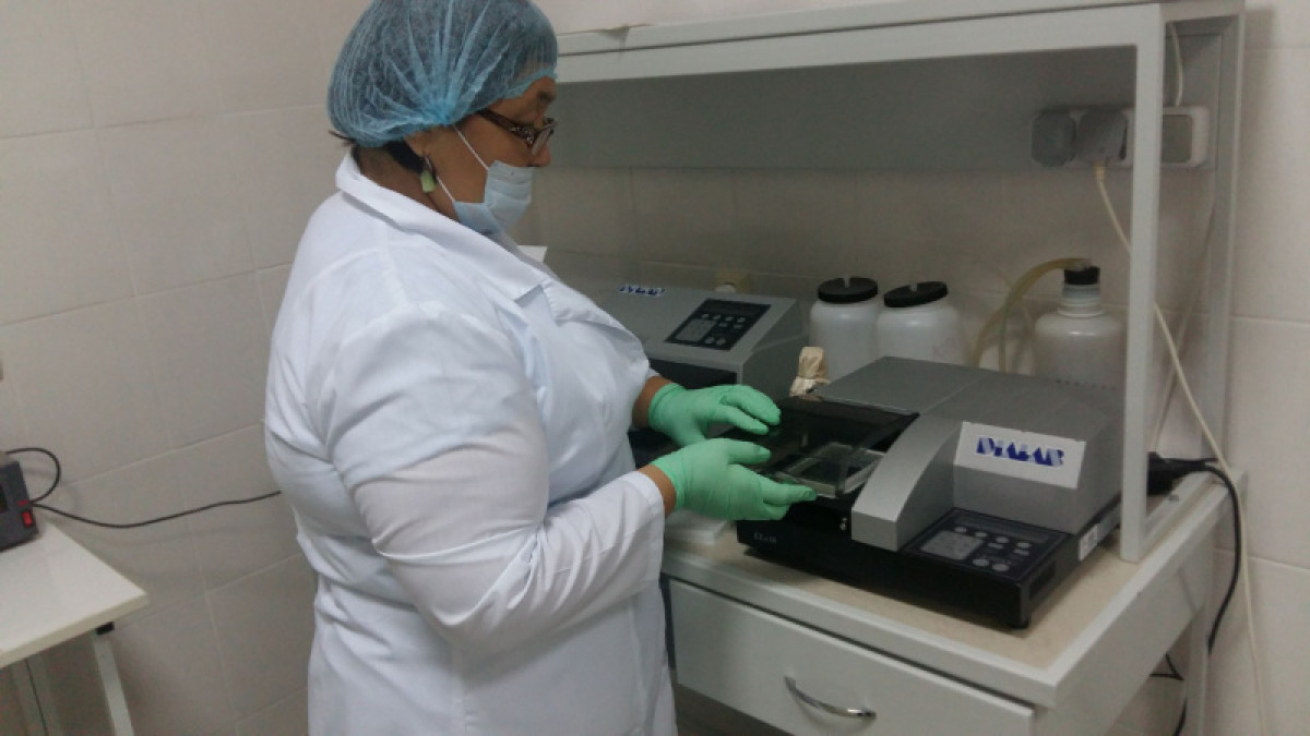 иллюстративное: nce.kz