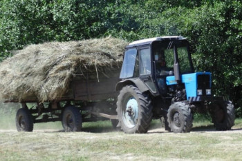 Фотография к новости: Брат и сестра попали под колеса трактора в Акмолинской области – мальчик скончался, девочка в реанимации