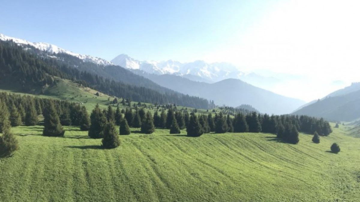 Айнаш Ондирис