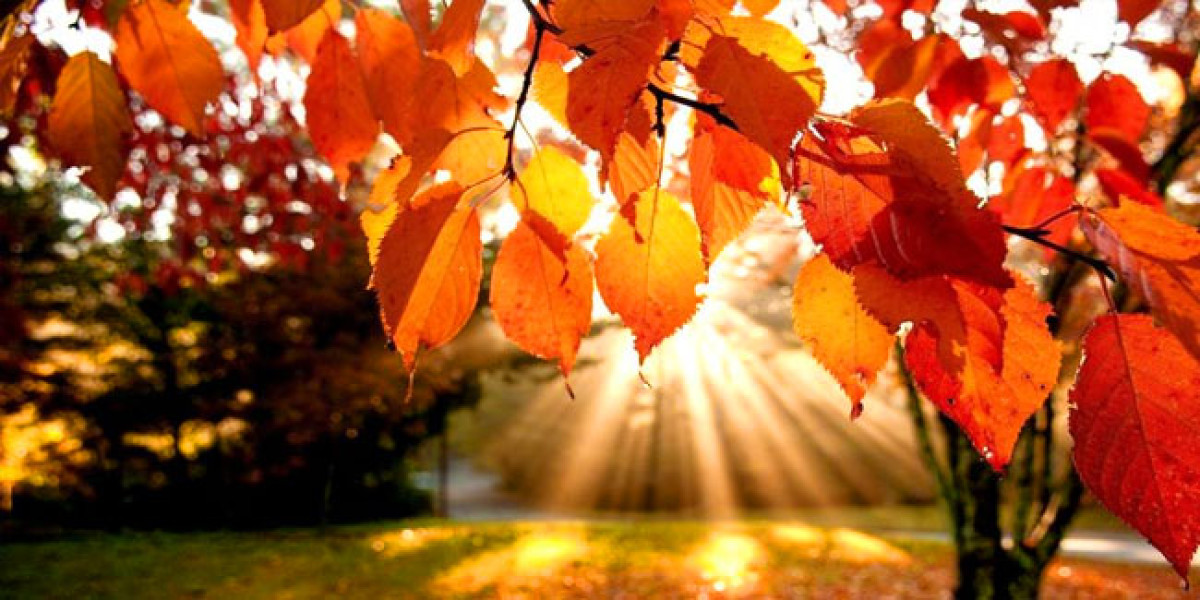 иллюстративное