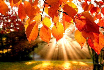 Фотография к новости: Бабье лето придет в Казахстан