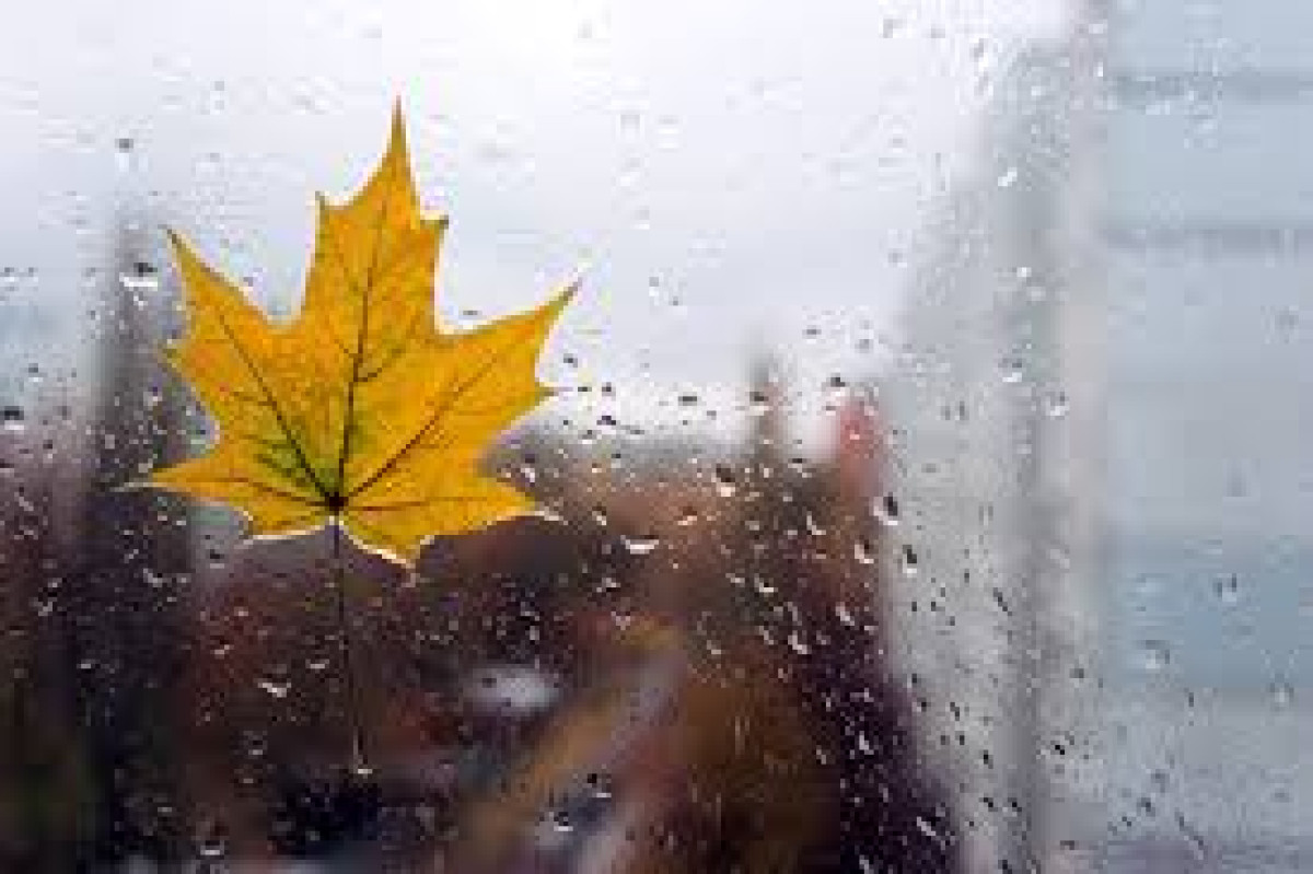 иллюстративное