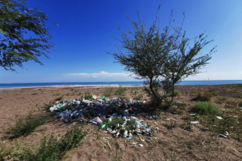 Фотография к новости: Казахстанцы примут участие во Всемирном дне уборки