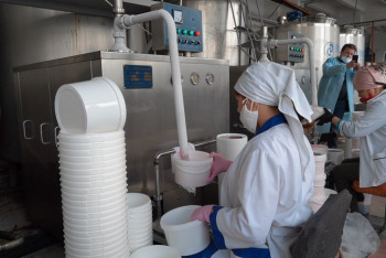 Фотография к новости: Молочный вкус независимости Казахстана: кокшетауский характер