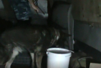 Фотография к новости: Иностранец пытался провезти в РК почти два килограмма героина