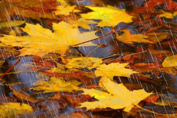 Фотография к новости: Штормовое предупреждение объявлено в 15 регионах Казахстана