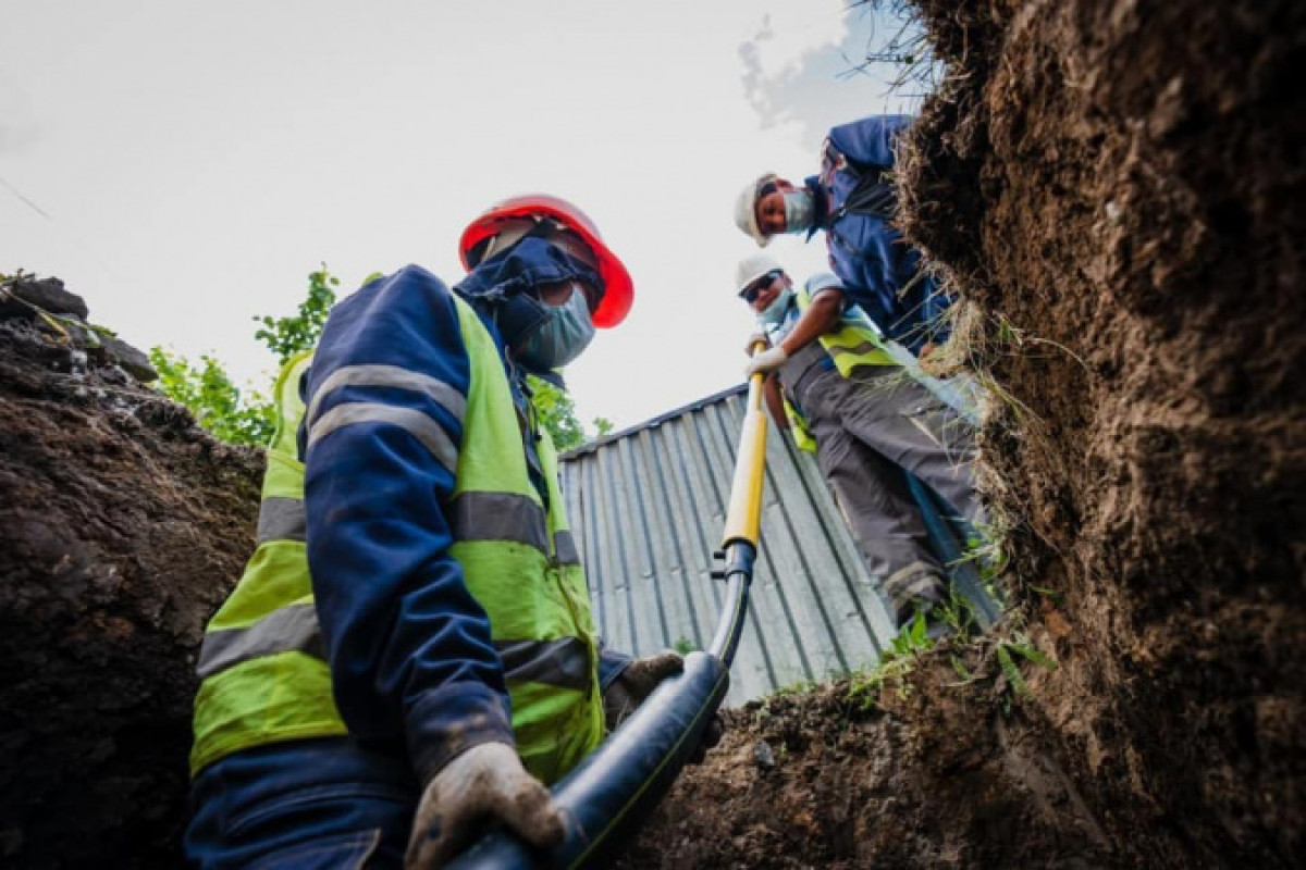 Александр Куприенко