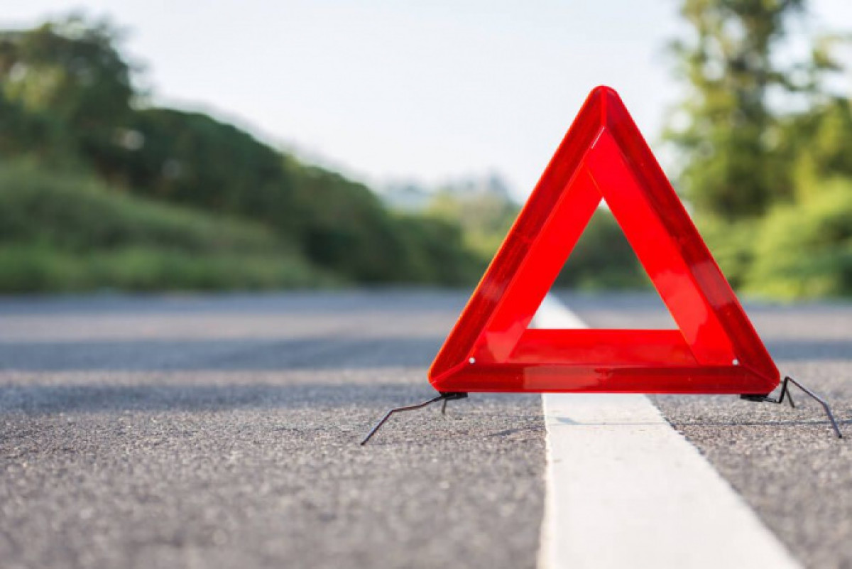 иллюстративное 