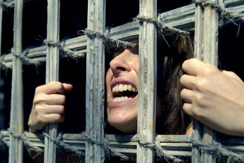 Канал поставок казахстанцев в Бахрейн, Турцию и Южную Корею пресекли в МВД