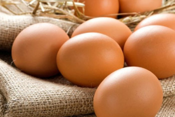 Фотография к новости: Сдерживать цены на куриное яйцо будут в СКО