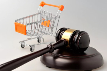 Фотография к новости: План по созданию системы защиты прав потребителей ждет Мамин от Султанова