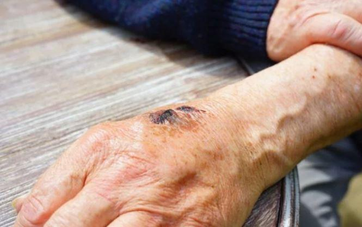 из открытых источников 