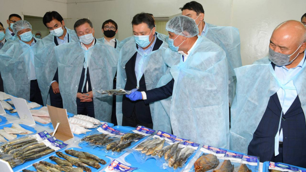 Павильонов по продаже рыбы станет больше в Казахстане