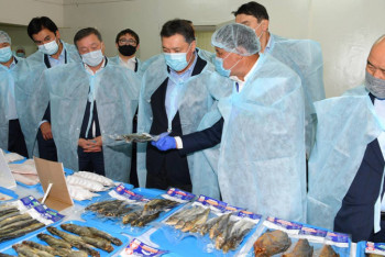 Фотография к новости: Павильонов по продаже рыбы станет больше в Казахстане