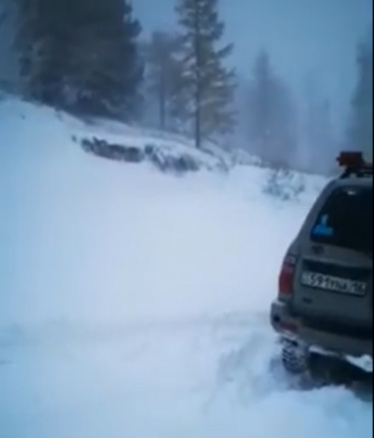 Обильный снег выпал в ВКО