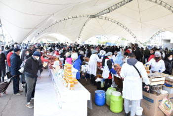Фотография к новости: Сельхозярмарка Акмолинской области проходит в Нур-Султане