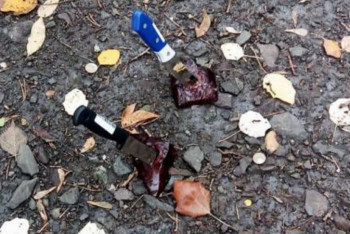 Фотография к новости: Воткнутые в землю ножи с кусками печени нашли в Караганде