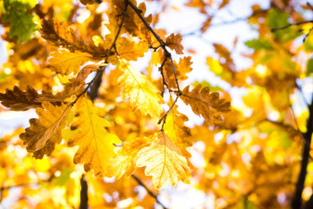Фотография к новости: Погода без осадков ждет казахстанцев 28 сентября