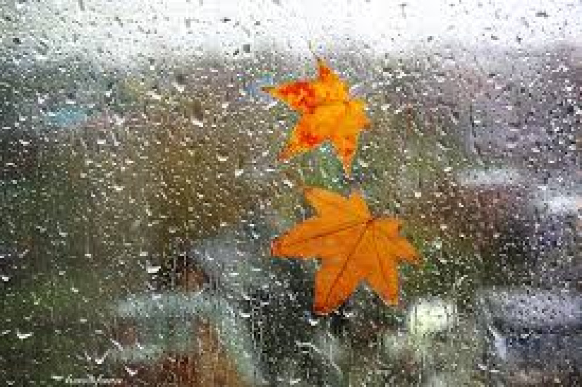 Дождь ожидается в Казахстане 29 сентября